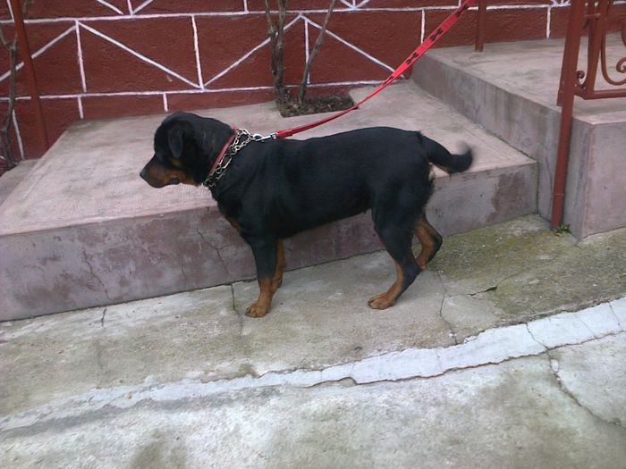 HERRA