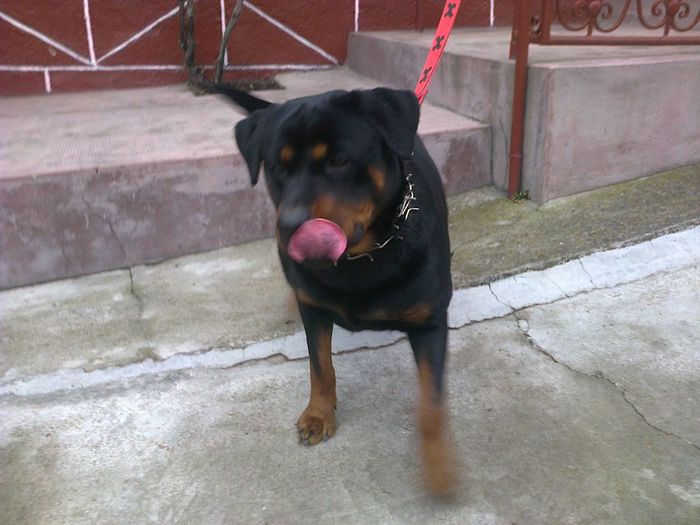 HERRA