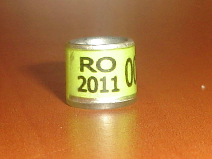 R0MANIA 2011