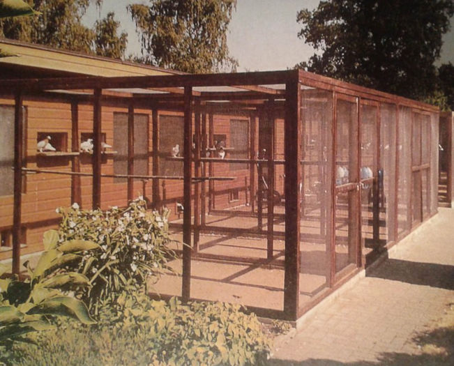 summerhouse2013 - Modele Crescatorii