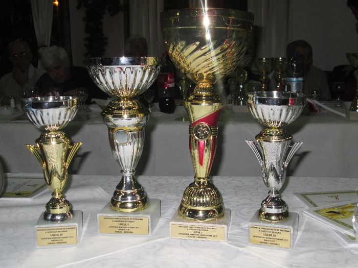 TROFEIE - DIPLOME 2013