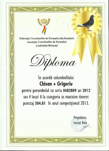 loc 5 as maraton 809 - DIPLOME 2013