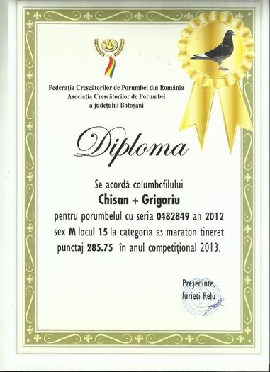 loc 15 as maraton 849 - DIPLOME 2013