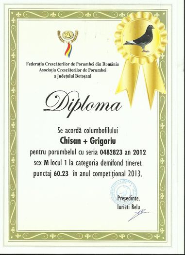 loc 1 demifond 823 - DIPLOME 2013