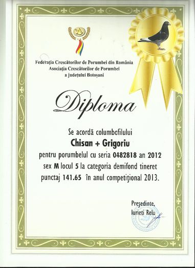 loc 5 demifond 818 - DIPLOME 2013