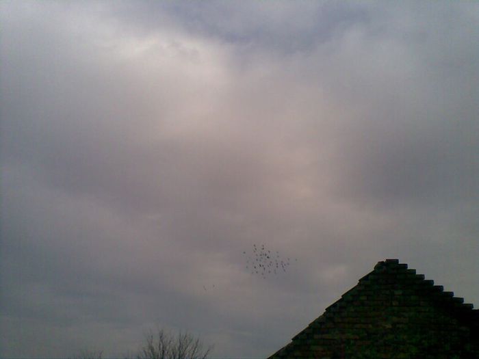 12012014(006)