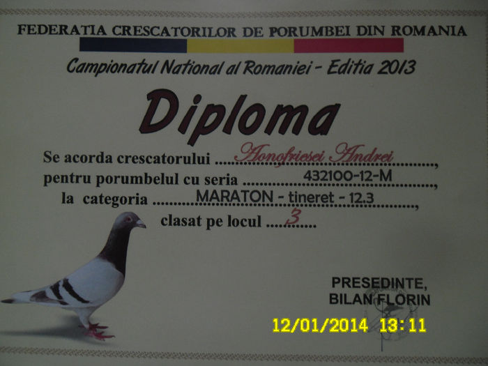 24 - diplome si cupe