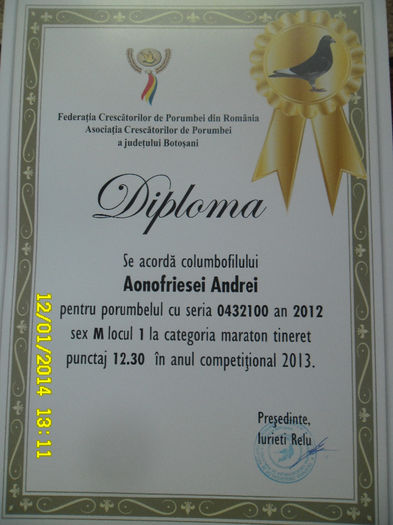 24 - diplome si cupe