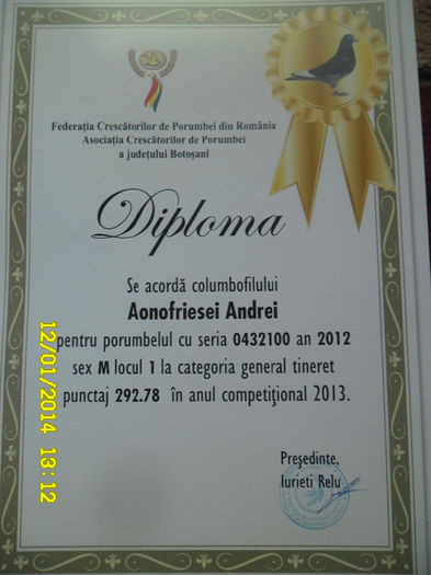 26 - diplome si cupe