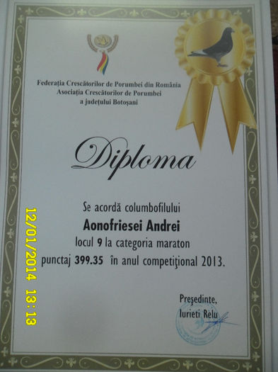 27 - diplome si cupe