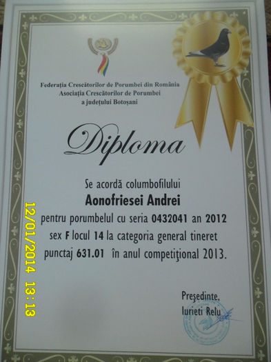 28 - diplome si cupe