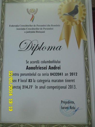 29 - diplome si cupe