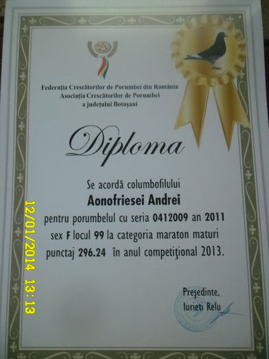 30 - diplome si cupe