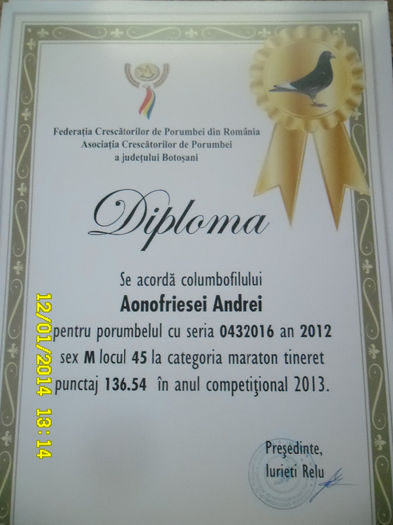 31 - diplome si cupe