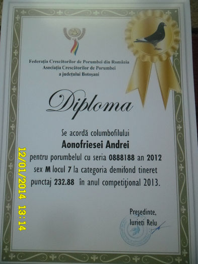 32 - diplome si cupe