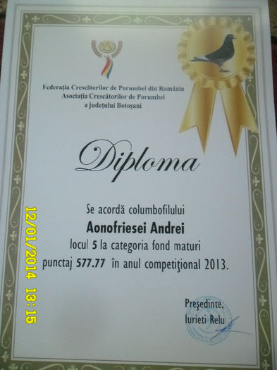 33 - diplome si cupe