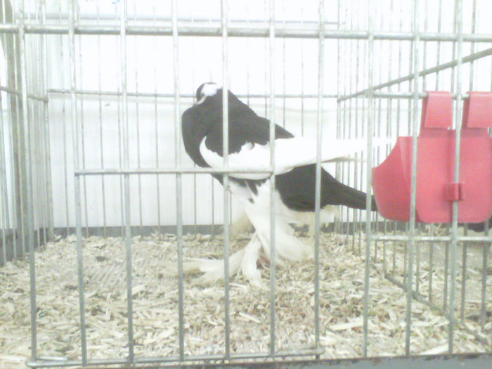 IMG-20140112-00069