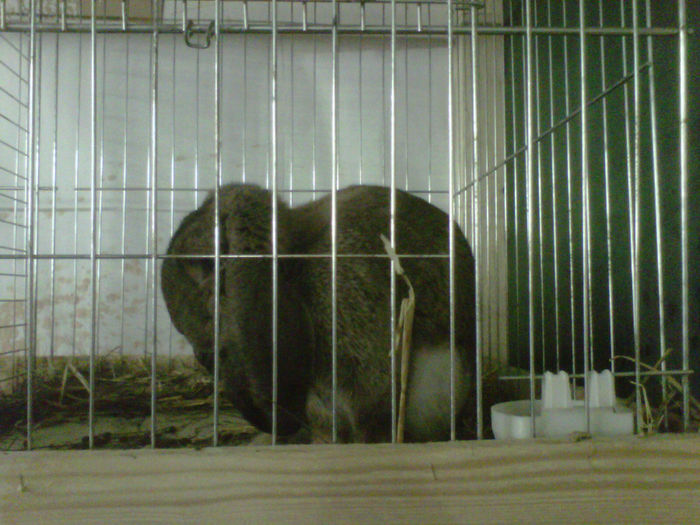 IMG-20140112-00124