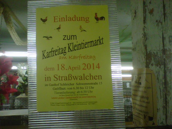 IMG-20140112-00156 - Expozitie Straswalchen 2014