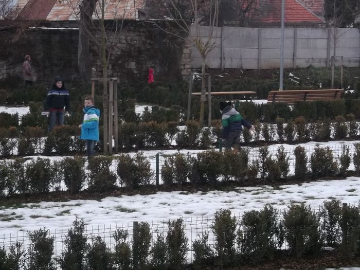 TREI RATACITI IN LABIRINT - BISTRITA ORAS TURISTIC