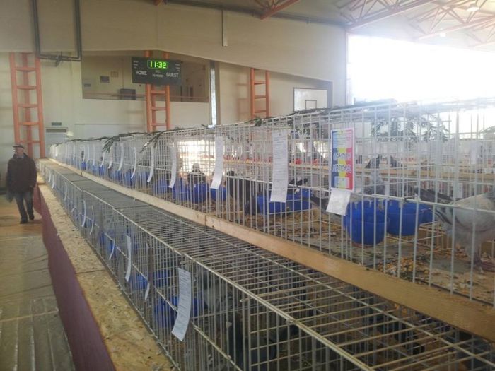 1422471_10201036313453127_2098871965_n