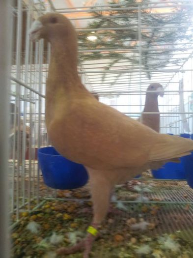 1424286_10201036317653232_1494668959_n