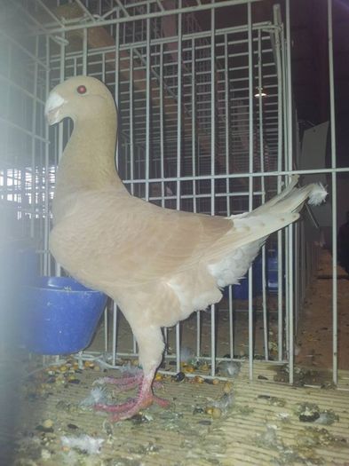 1426582_10201036322333349_1309732208_n