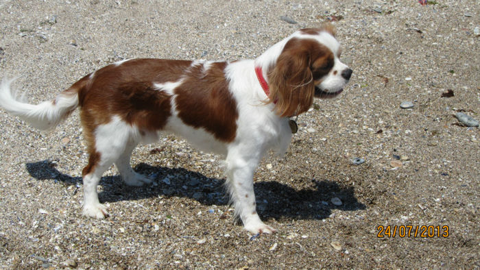 si anul urmator; Acum sunt matur
