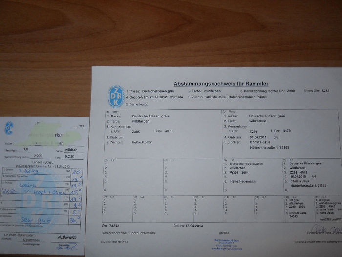 Z 299 5251(M2); 96pct GERMANIA!!
linie HEIKE KOLER!!
FRATE LANDESSIEGER ULM 2012!!
