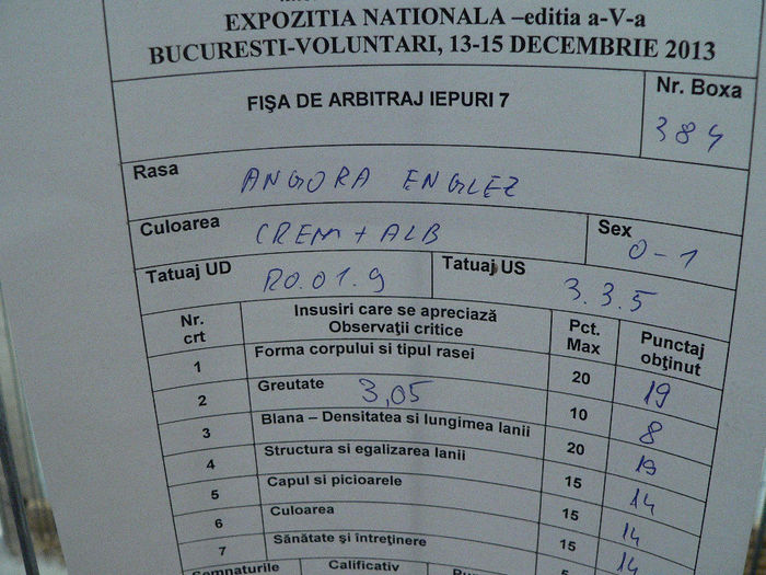 expo 2013 019 - 1Expo Nationala Bucuresti 2013
