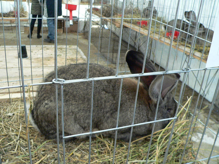 expo 2013 044