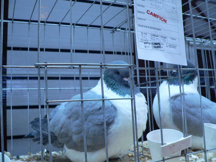 expo 2013 076