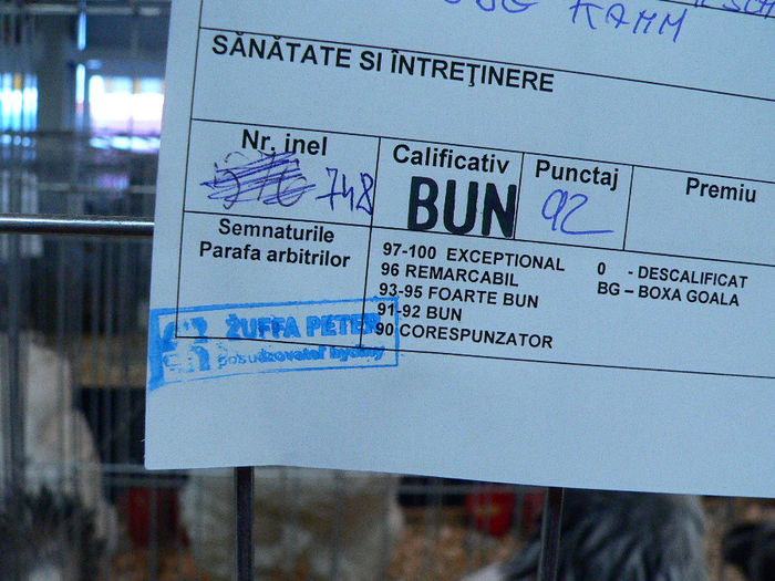 expo 2013 089