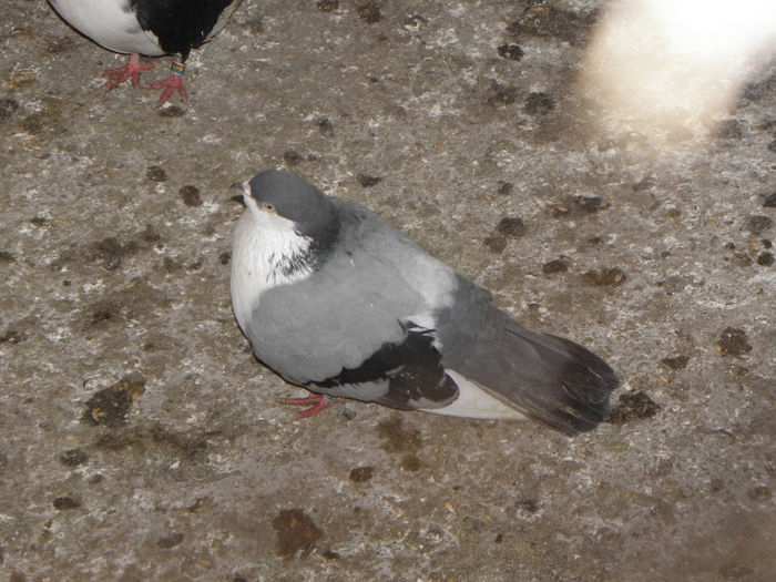 P1120098