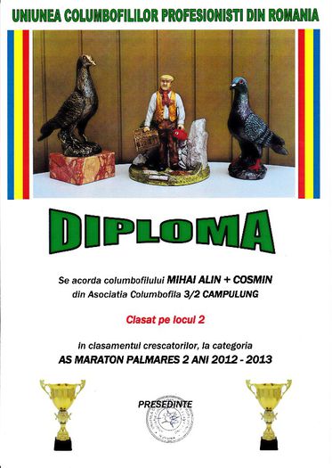 Loc 2 AS MARATON cresc palm 2 ani - Diplome 2013 asociatie