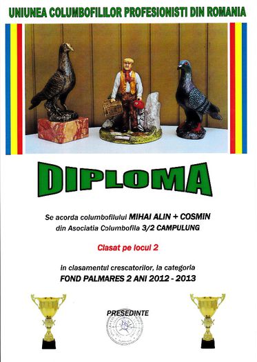 Loc 2 FOND cresc palm 2 ani - Diplome 2013 asociatie