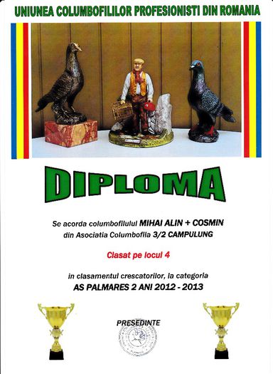 Loc 4 AS cresc palm 2 ani