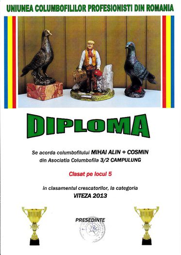 Loc 5 VITEZA cresc - Diplome 2013 asociatie