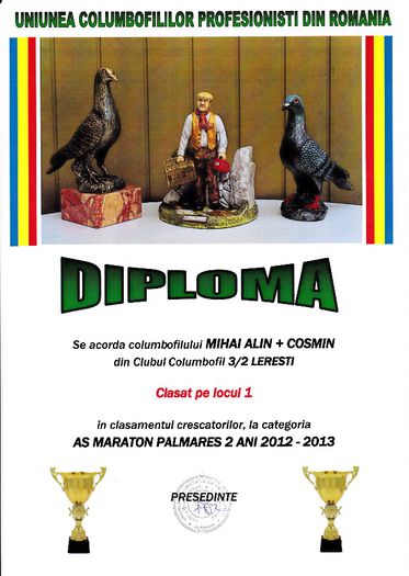 Loc 1 AS MARATON cresc palm 2 ani - Diplome 2013 club