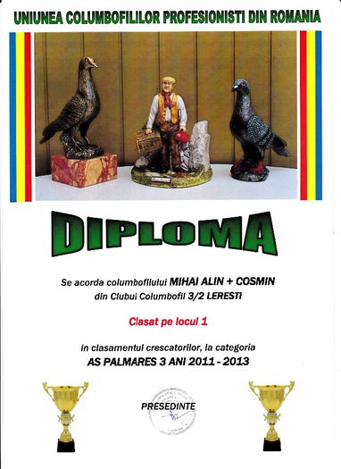 Loc 1 AS cresc palm 3 ani