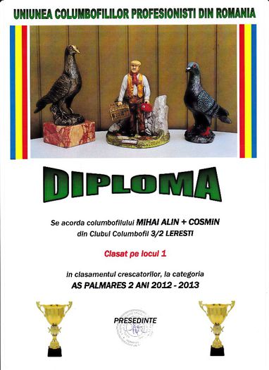 Loc 1 AS cresc palm 2 ani - Diplome 2013 club