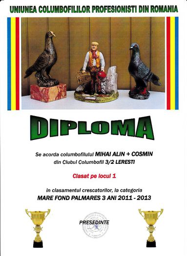 Loc 1 MARE FOND cresc palm 3 ani - Diplome 2013 club