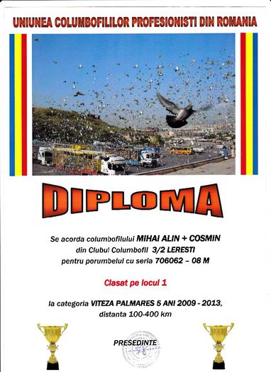 Loc 1 VITEZA palm 5 ani