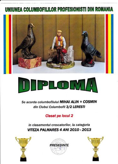 Loc 2 VITEZA cresc palm 4 ani - Diplome 2013 club