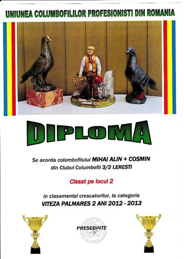 Loc 2 VITEZA cresc palm 2 ani - Diplome 2013 club