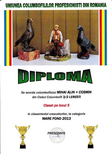 Loc 5 MARE FOND cresc - Diplome 2013 club