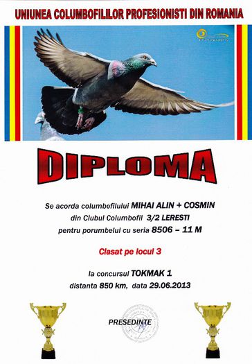 Loc 3 Tokmak 1 - Diplome 2013 club