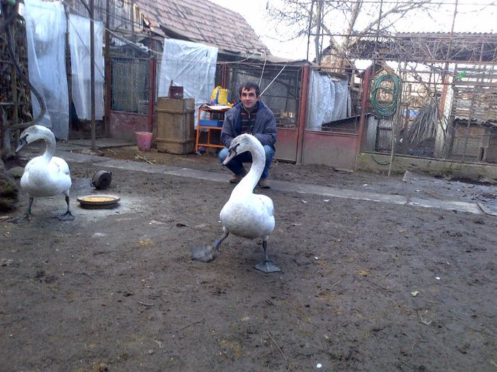 Au FOST a Lui Ady  79 CIndva - CONTACT
