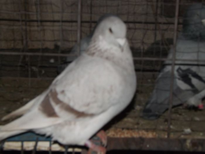 DSCF0075