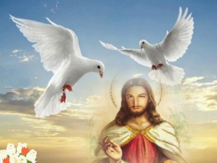 580836_341827425876259_1376895645_n